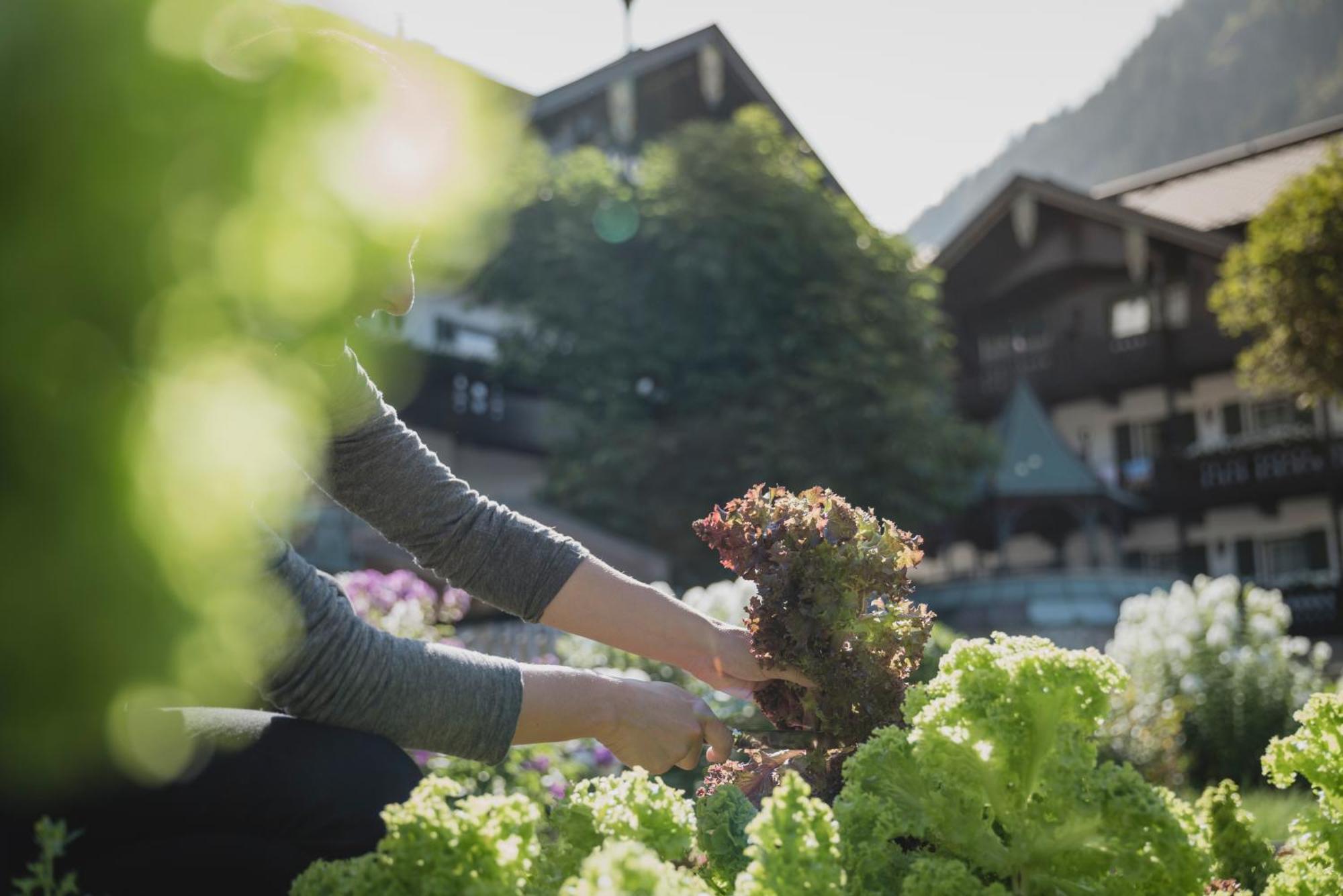 Neuhaus Zillertal Resort Mayrhofen Kültér fotó
